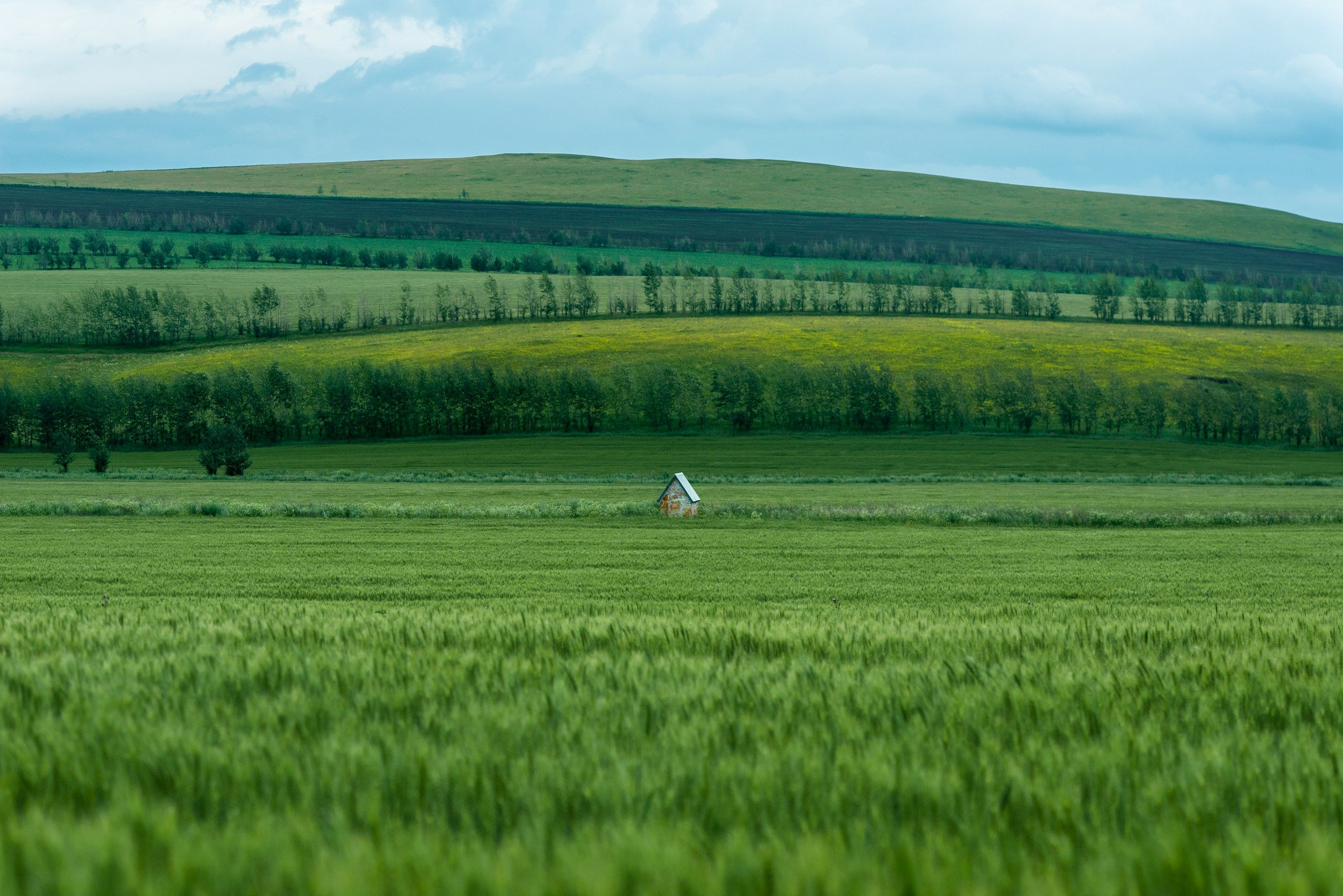 Agricultural landscape